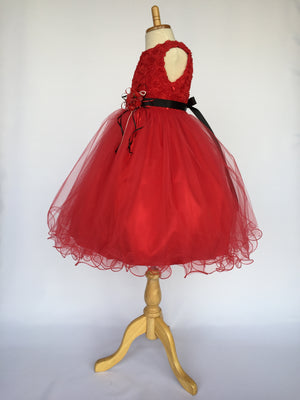 Red Chiffon Floral Carnation 4 Layer Tulle Dress