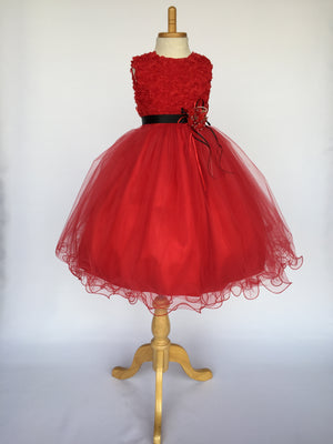 Red Chiffon Floral Carnation 4 Layer Tulle Dress