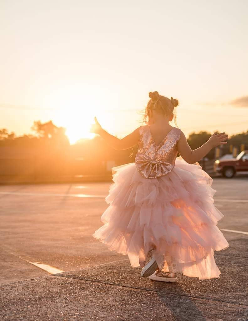 White Sequin V Back Sleeveless Blush Tulle High Low Girl Dress