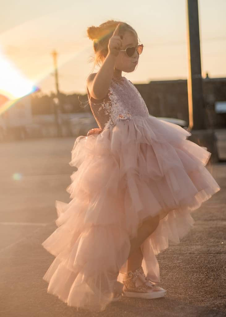 White Sequin V Back Sleeveless Blush Tulle High Low Girl Dress