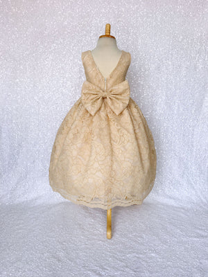 V-Back Champagne Full French Lace Dress Bow