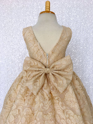 V-Back Champagne Full French Lace Dress Bow