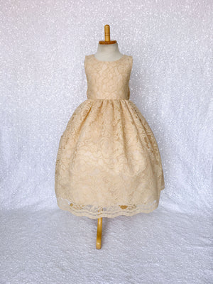 V-Back Champagne Full French Lace Dress Bow