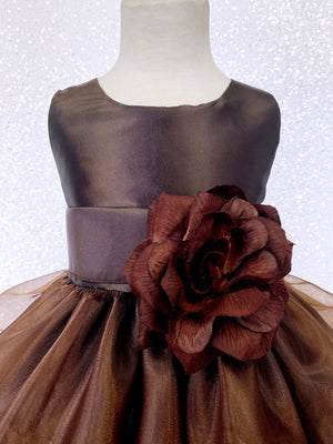 Brown Sleeveless Satin Organza Ruffle Dress