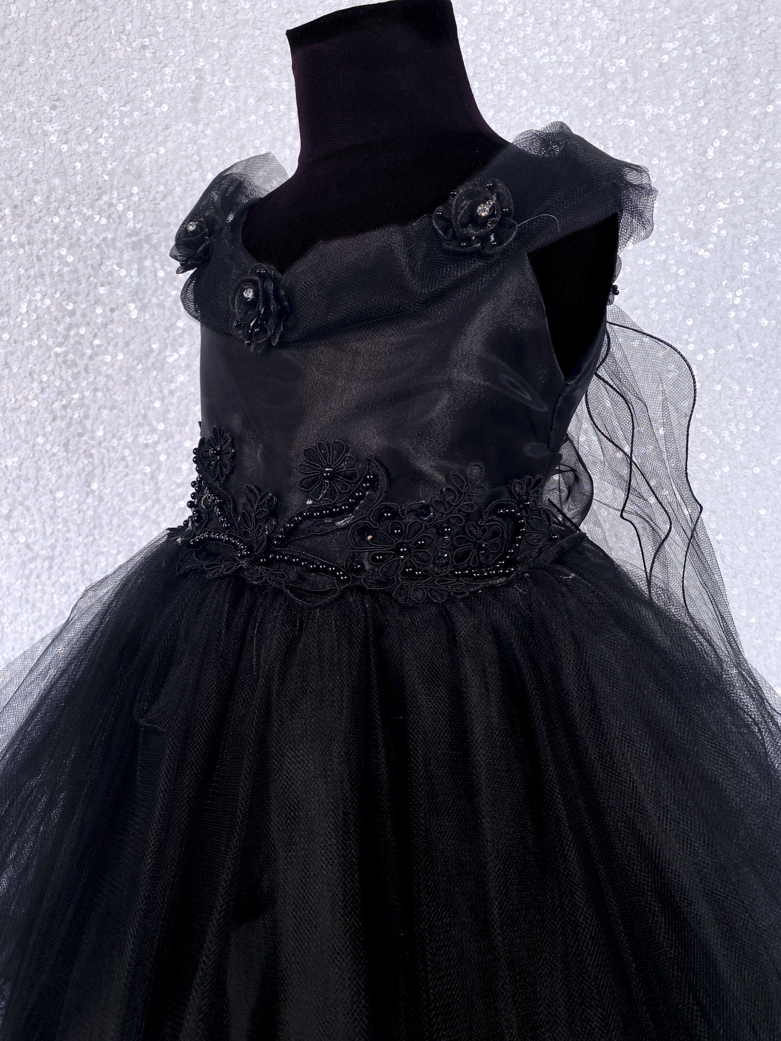 Black Fairy Wing Application FL 2 Layer Tulle Dress