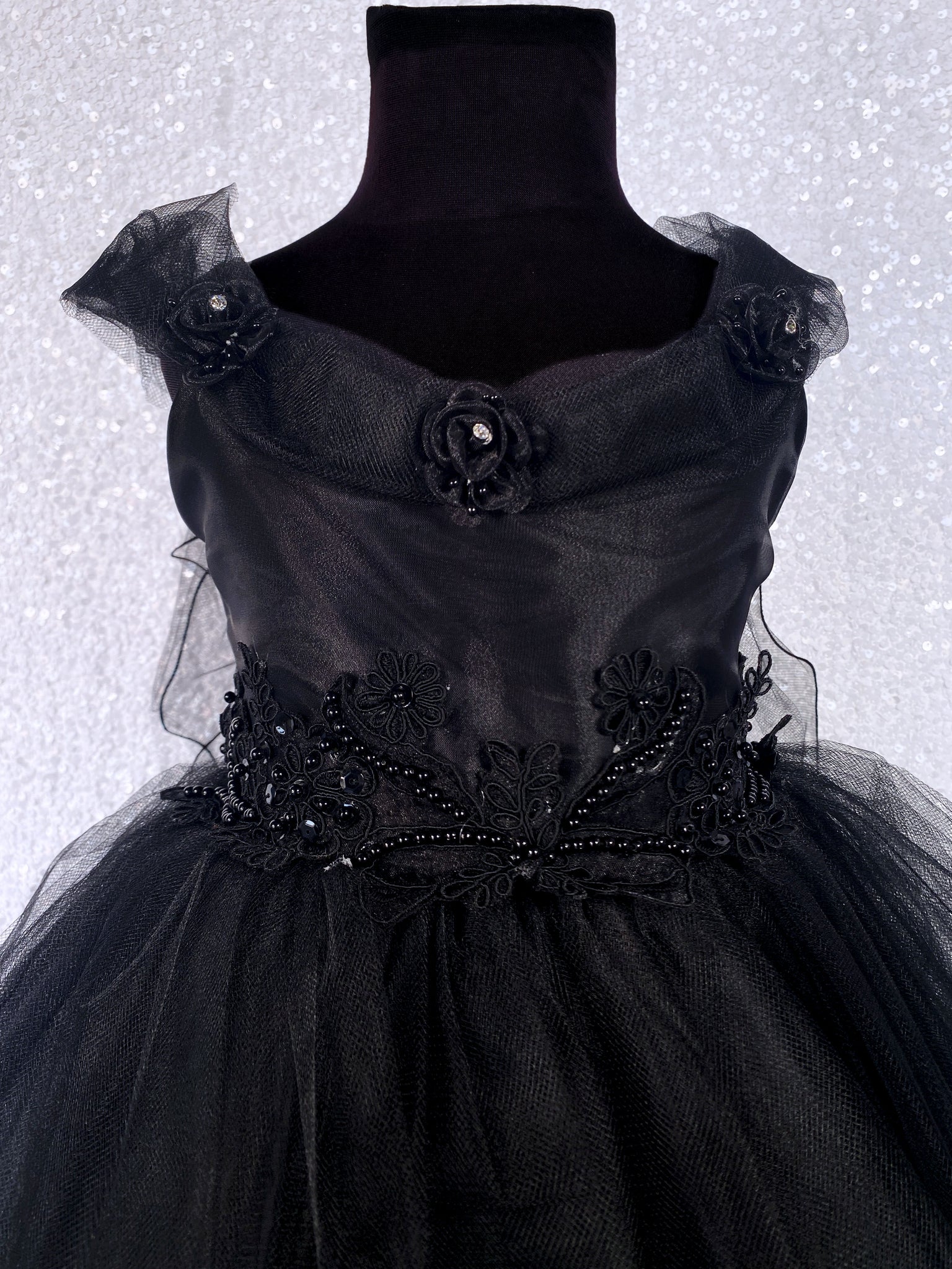 Black Fairy Wing Application FL 2 Layer Tulle Dress