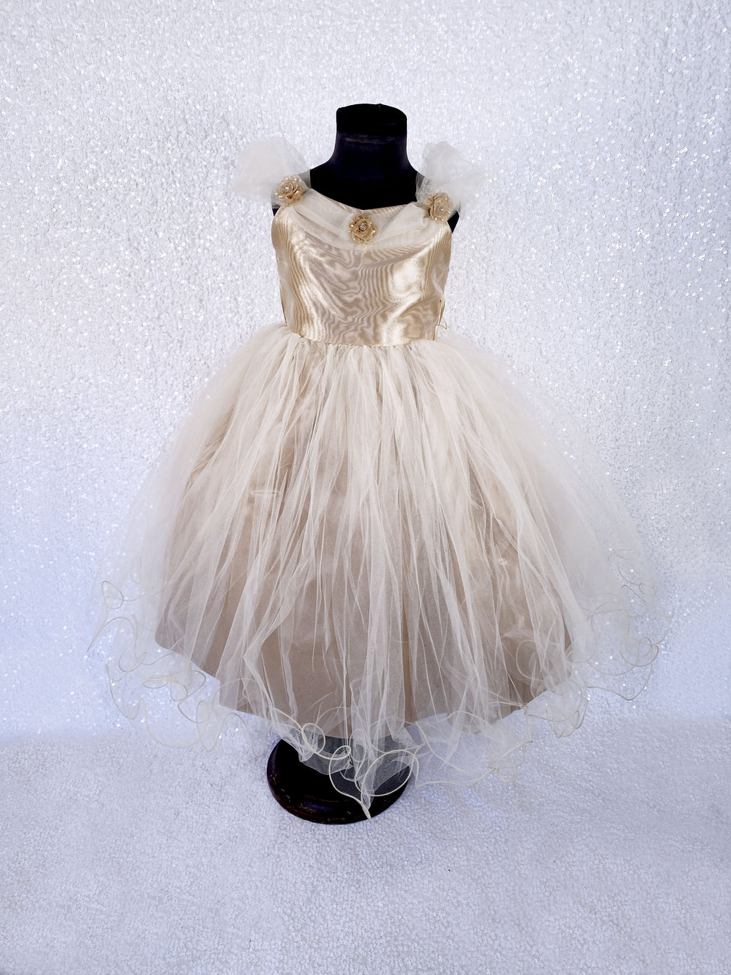 2 Layer Tulle Champagne Fairy Wing Application Dress