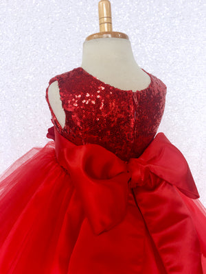 Red Mini Sequin Tulle Fishing Line Dress Velvet Flower