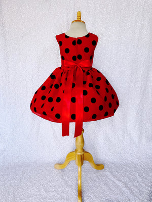 Red & Black Polka Dot Knee Length Ribbon Lady Bug Dress