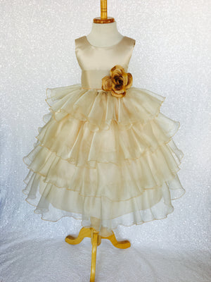 Champagne Sleeveless Satin Organza Ruffle Dress