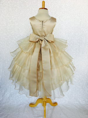 Champagne Sleeveless Satin Organza Ruffle Dress