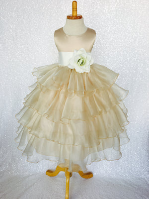 Champagne Sleeveless Satin Organza Ruffle Dress